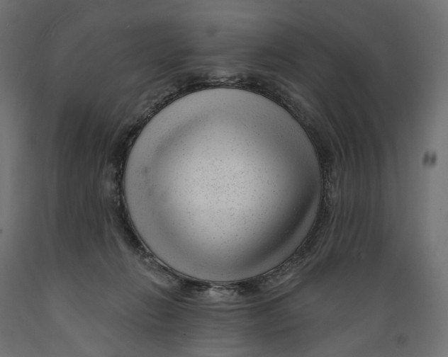 X0000088900270200707061501