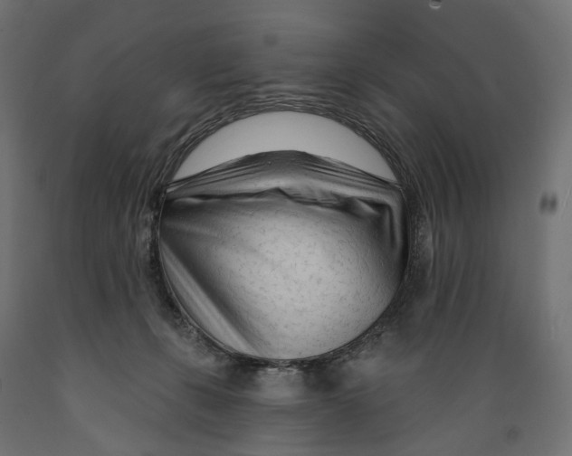 X0000088900271200707061501