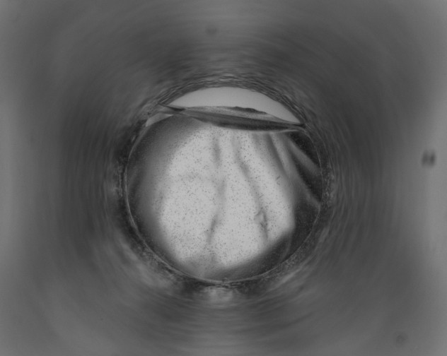 X0000088900272200707061501