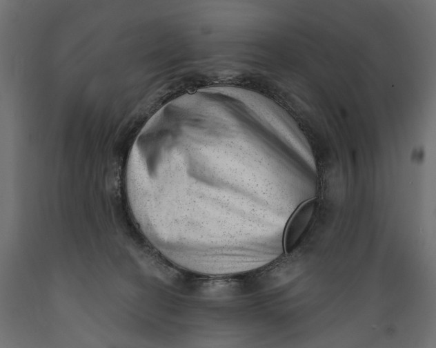 X0000088900274200707061501