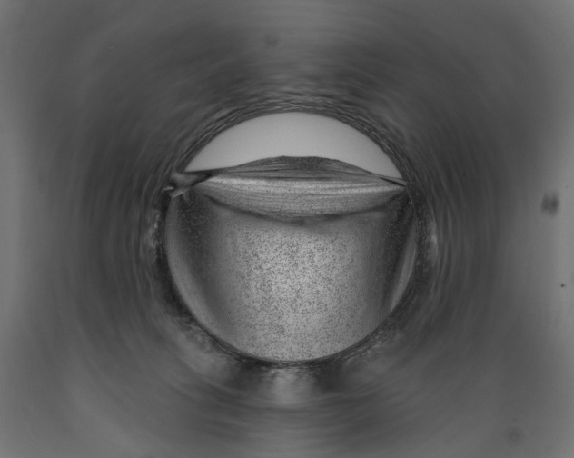 X0000088900275200707061501