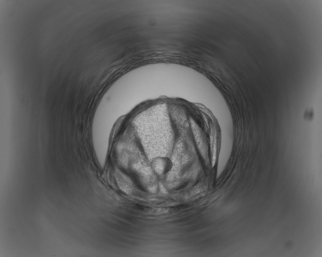 X0000088900276200707061501