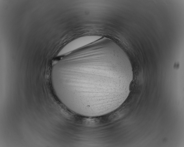 X0000088900277200707061501