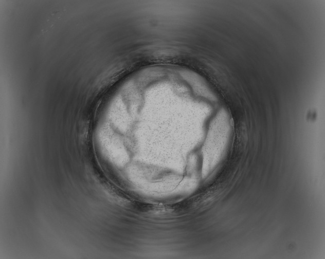 X0000088900278200707061501