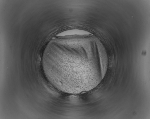 X0000088900279200707061501