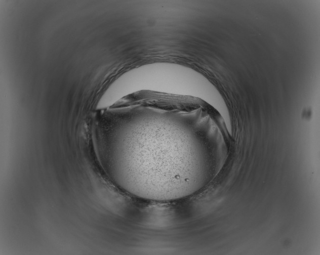 X0000088900280200707061501