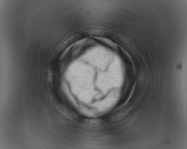 X0000088900282200707061501