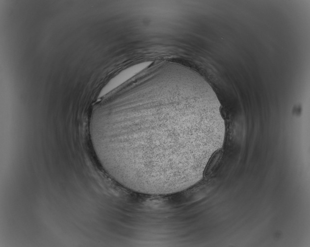 X0000088900283200707061501