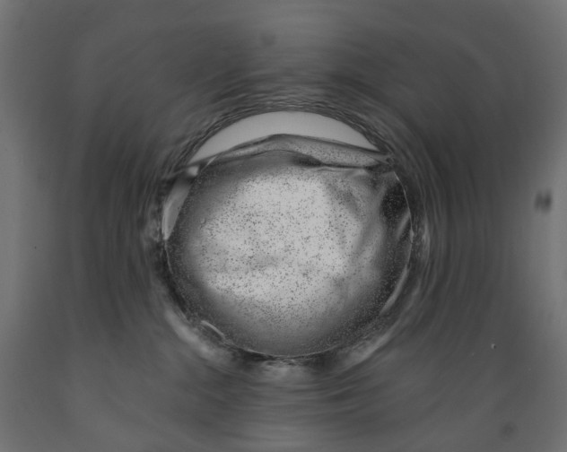 X0000088900284200707061501