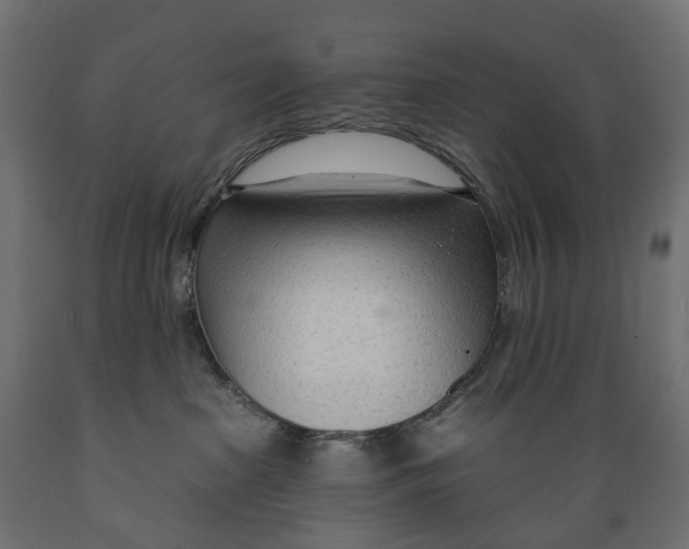 X0000088900285200707061501