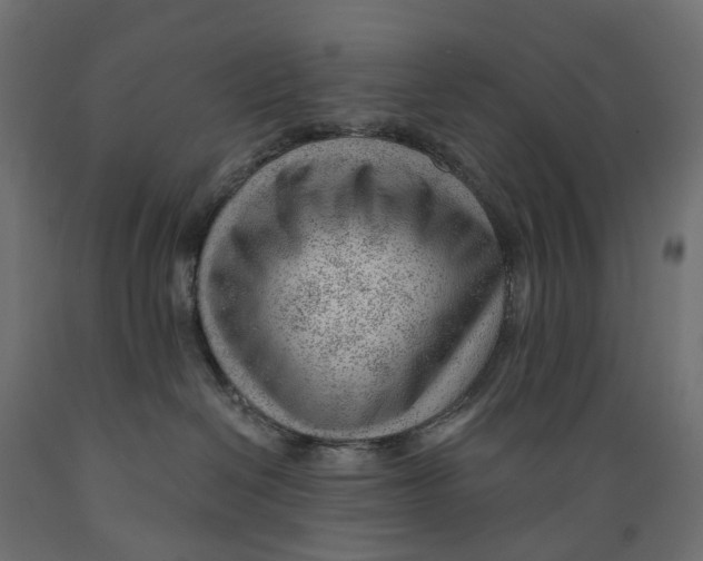 X0000088900286200707061501