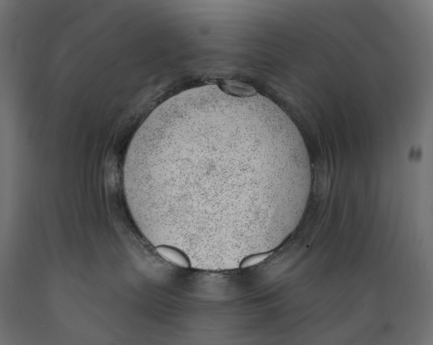 X0000088900287200707061501