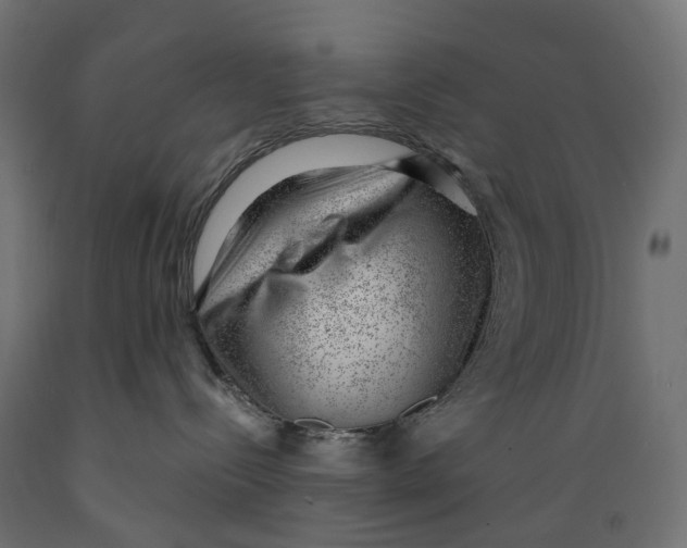 X0000088900288200707061501