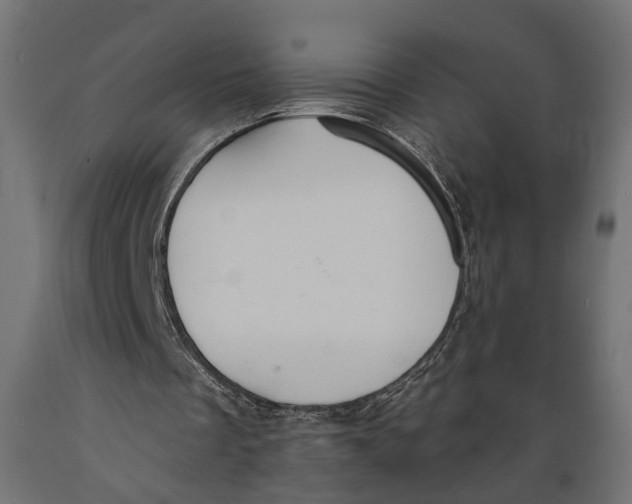 X0000088900289200707061501