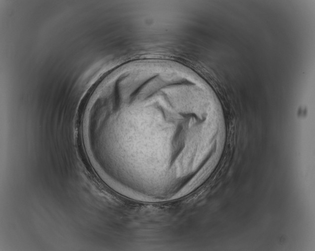 X0000088900290200707061501