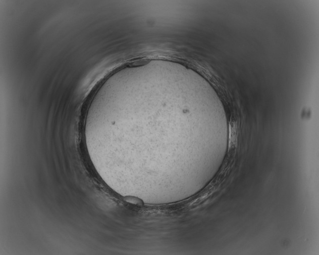 X0000088900291200707061501