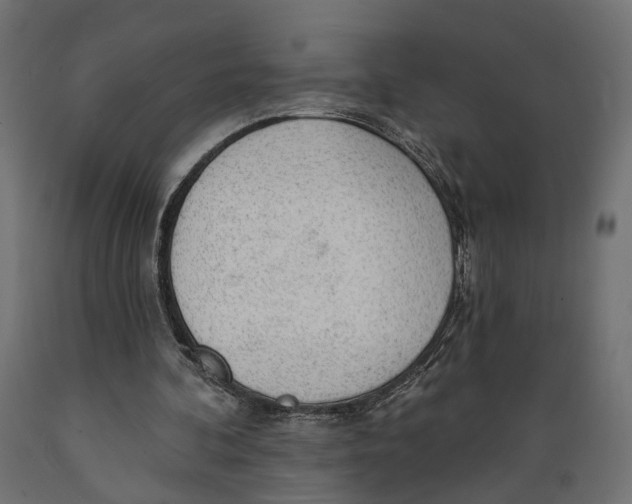 X0000088900292200707061501