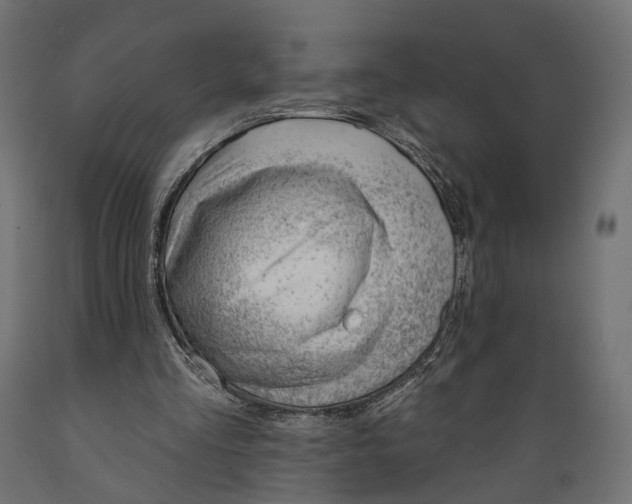 X0000088900293200707061501