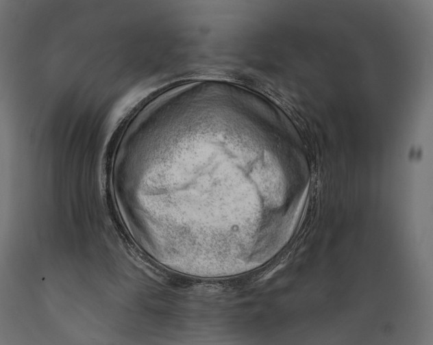 X0000088900294200707061501