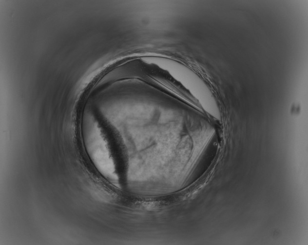 X0000088900295200707061501