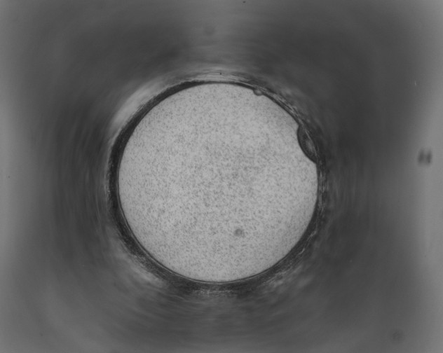 X0000088900296200707061501