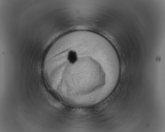 X0000088900297200707061501