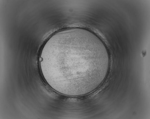 X0000088900298200707061501