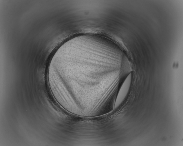 X0000088900299200707061500