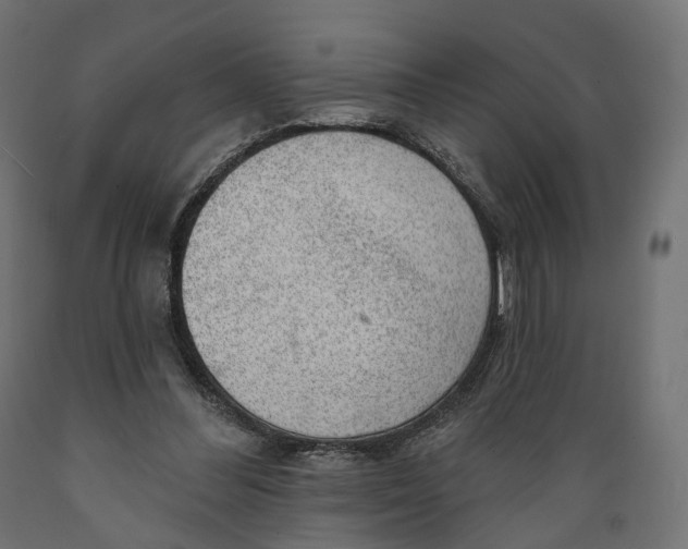 X0000088900300200707061500