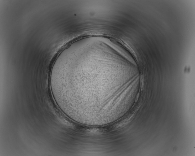 X0000088900301200707061500