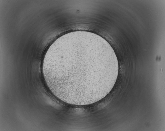 X0000088900302200707061500