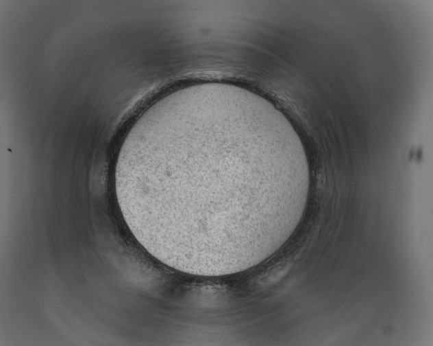 X0000088900304200707061500