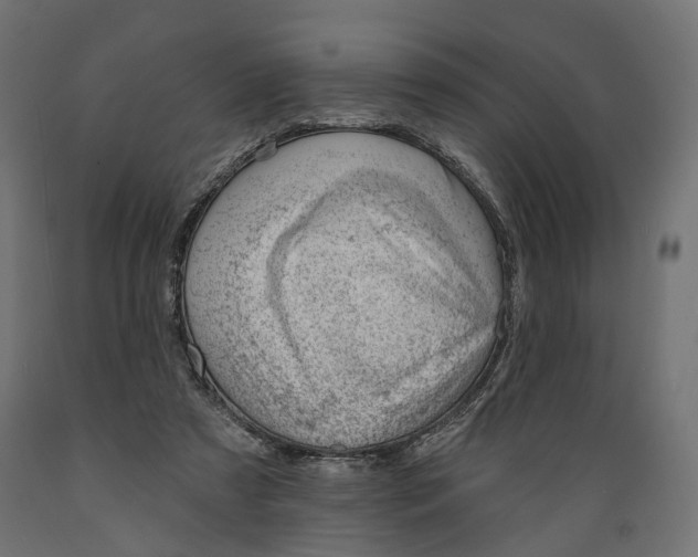 X0000088900305200707061500