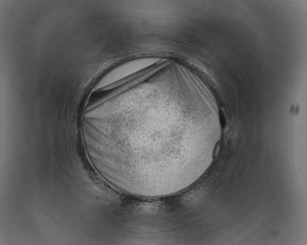 X0000088900306200707061500