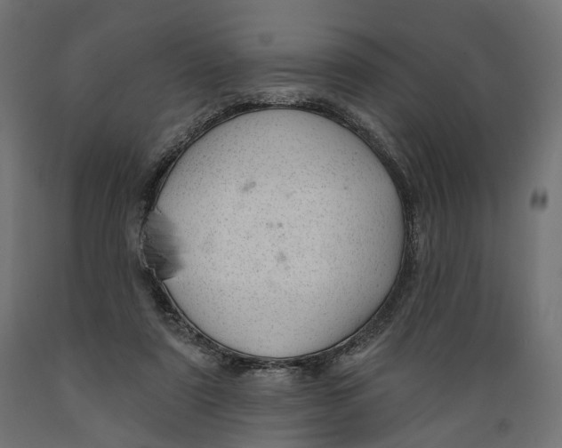 X0000088900307200707061500