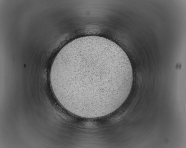 X0000088900308200707061500