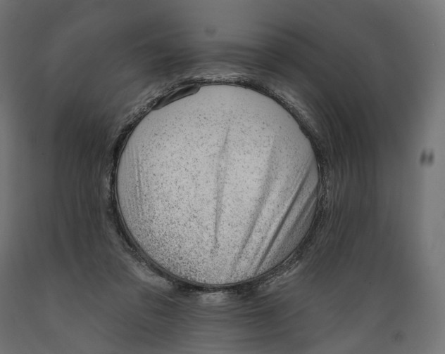 X0000088900309200707061500