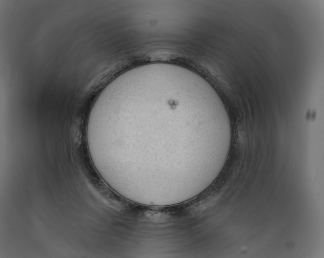 X0000088900311200707061500