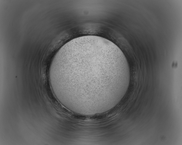 X0000088900312200707061500