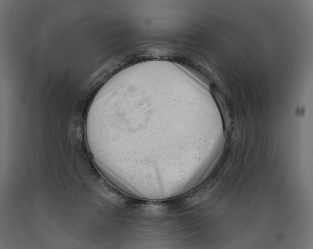 X0000088900313200707061500