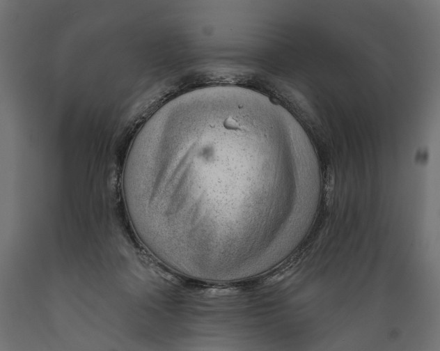 X0000088900314200707061500