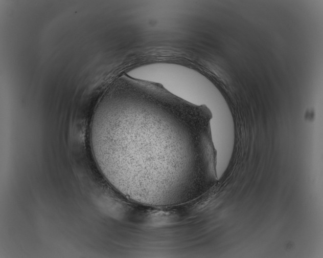 X0000088900315200707061500