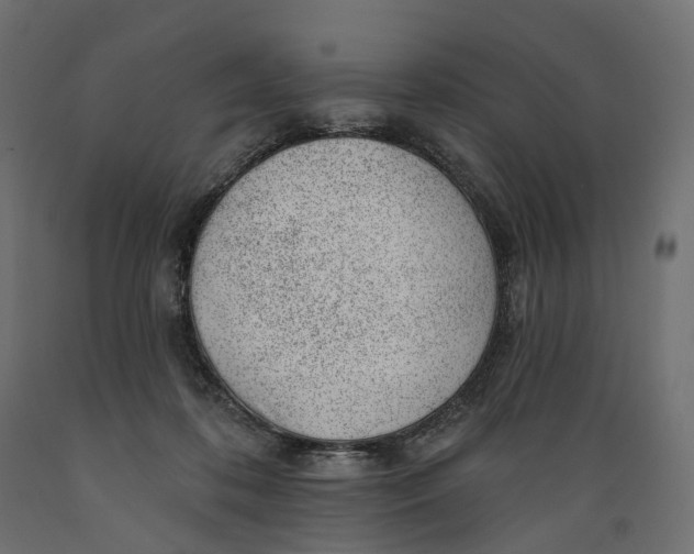 X0000088900316200707061500