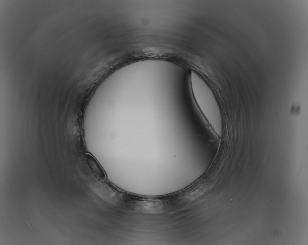 X0000088900317200707061500