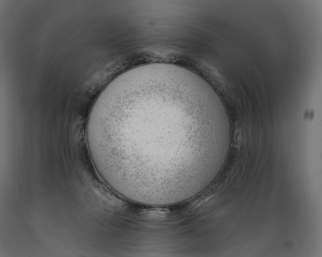 X0000088900318200707061500