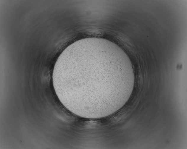 X0000088900320200707061500