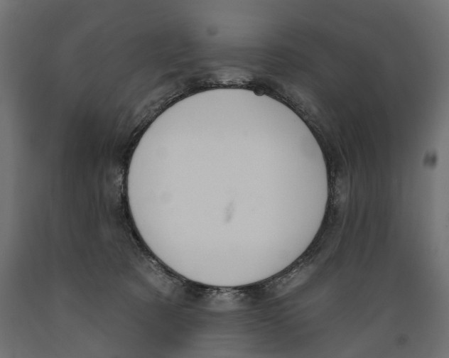 X0000088900321200707061500