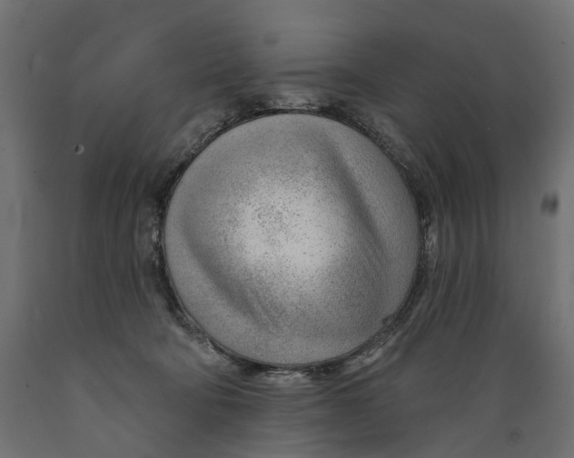 X0000088900322200707061500