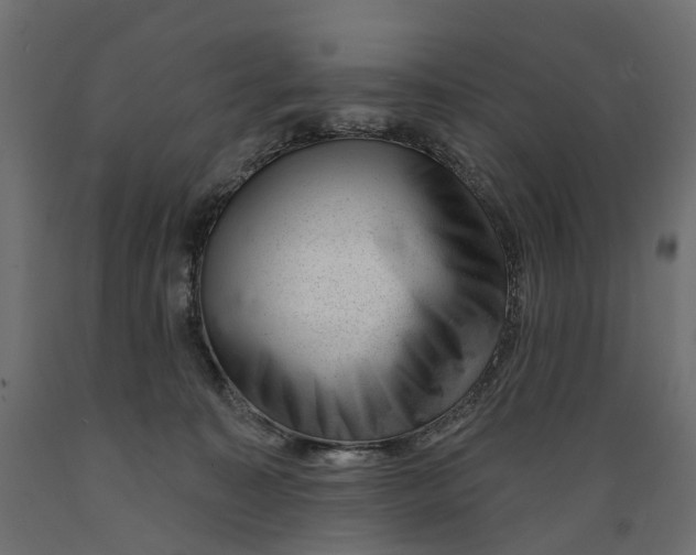 X0000088900323200707061500