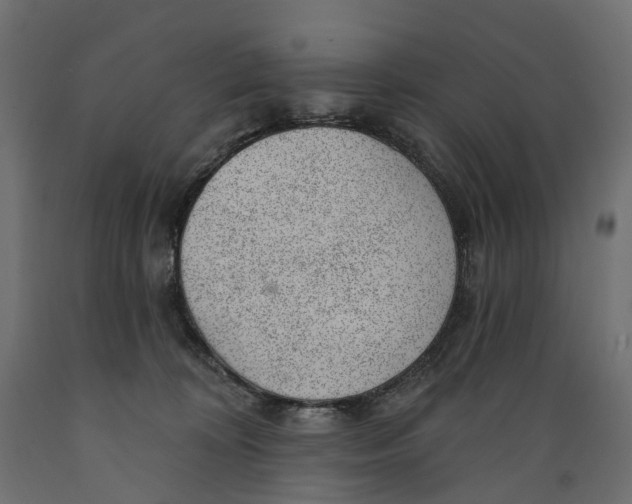 X0000088900324200707061500